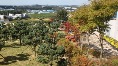 평택수목장