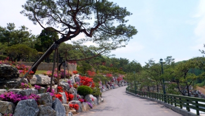 용인 백암수목장