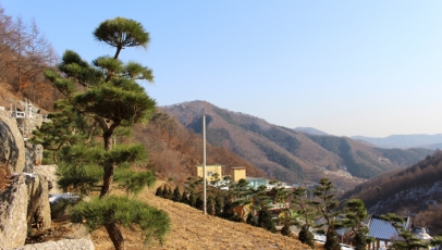 양주수목장