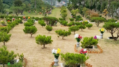용인양지수목장
