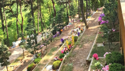 강화수목장