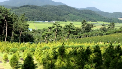 김포수목장