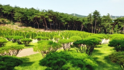 대부도수목장